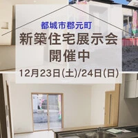 画像243