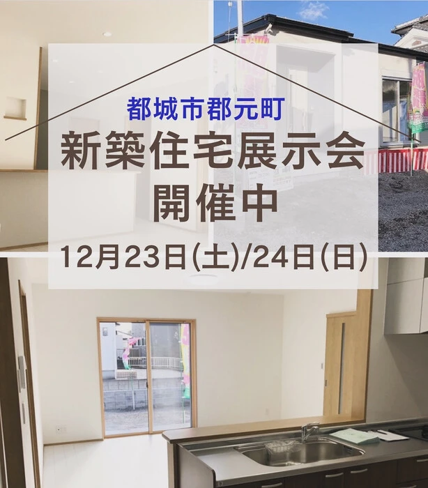 画像243