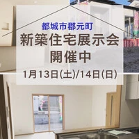 画像249