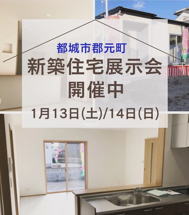 画像249