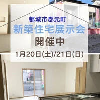 画像251