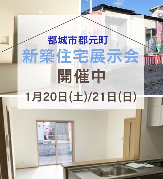 画像251