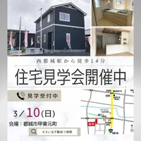 画像255