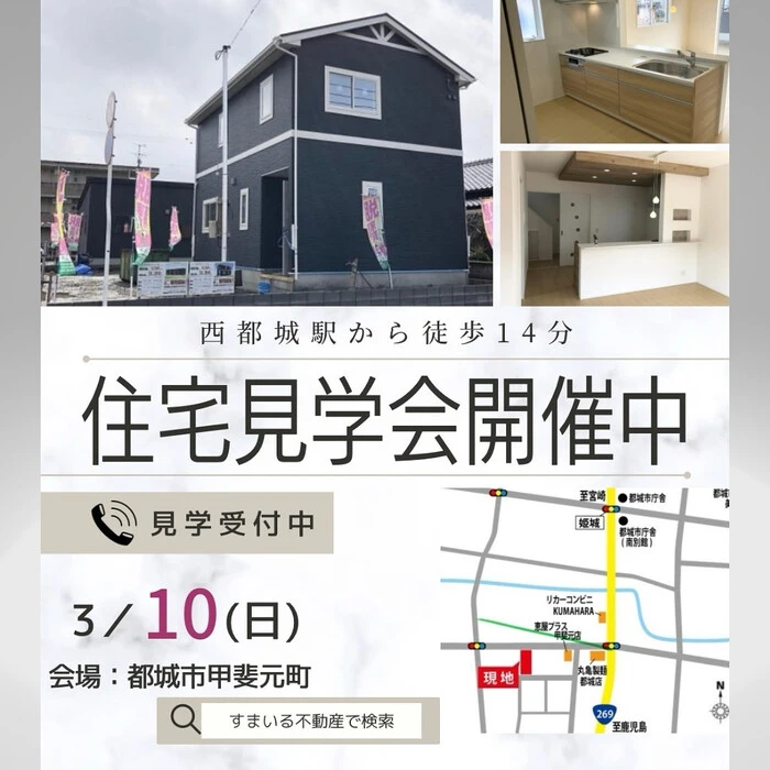 画像255