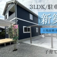 画像283