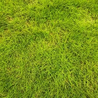 画像437