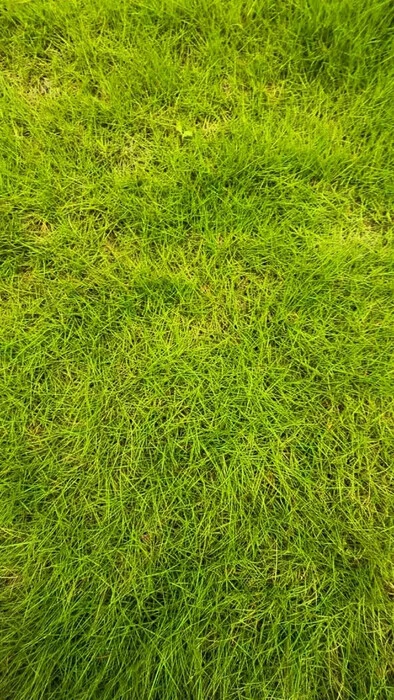 画像437