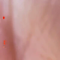画像502