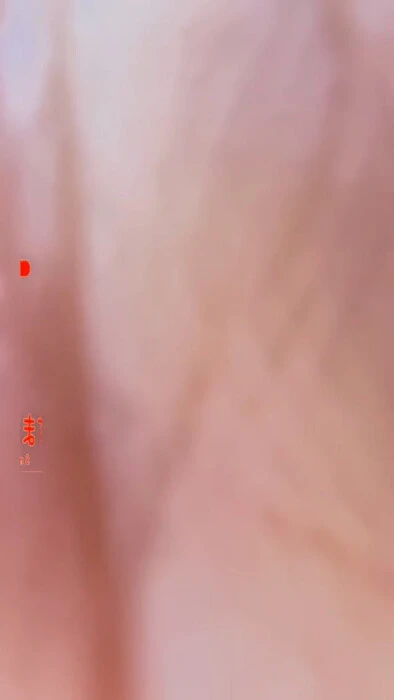 画像502