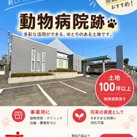 画像569