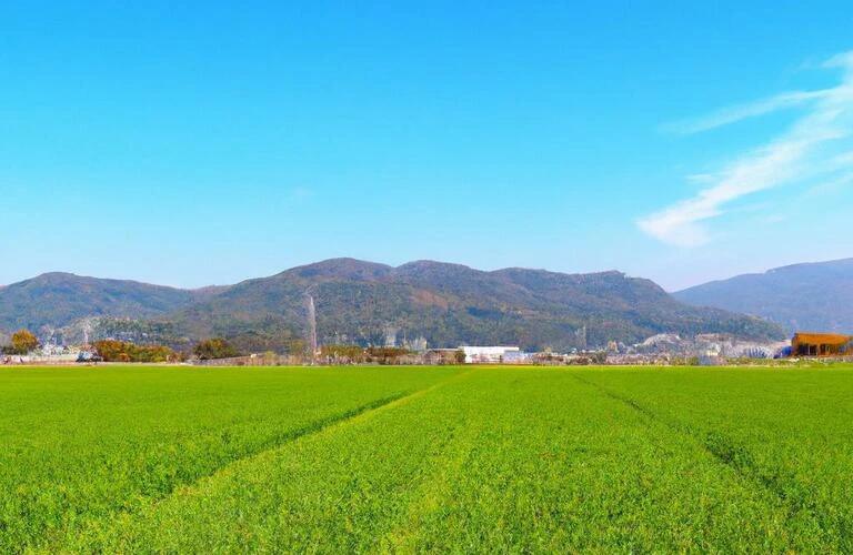 宮崎県都城市で豊かな田舎暮らしを手に入れよう！